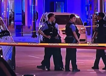 Police blame “reform” on unsolved homicides – Law Officer