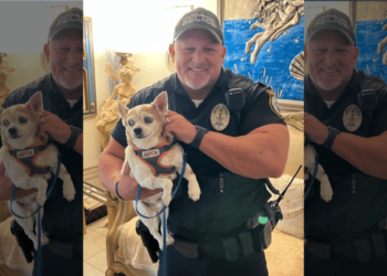 Florida police officer rescues drowning dog in Intracoastal Waterway – Law Officer