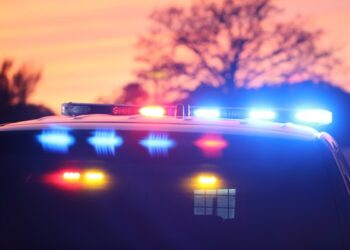 Deputies forgot to close patrol vehicle's door, leading to woman's death