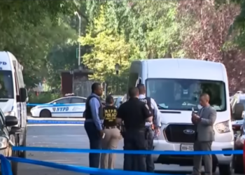‘Law & Order’ crew member gunned down on TV show’s set in Brooklyn – Law Officer