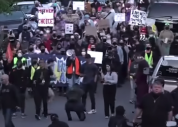 SCOTUS marshal asks state officials to act on protests at justices’ homes – Law Officer
