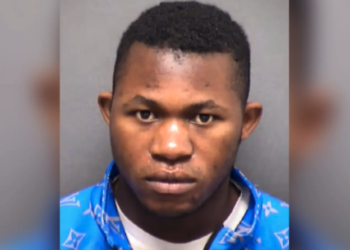 San Antonio man sentenced to prison for 10 years after pleading guilty to having sex with horses – Law Officer