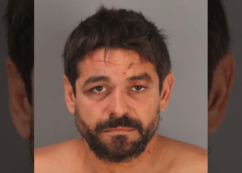 DUI driver kills off-duty deputy who was mowing lawn – Law Officer