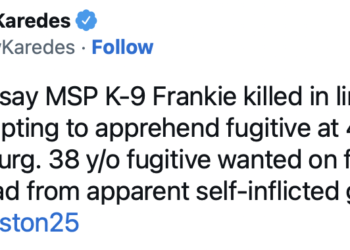 Massachusetts State Police K-9 killed in police standoff – Law Officer