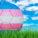 Women’s professional sports leagues take different approaches to transgender inclusion: Employment & Labor Insider