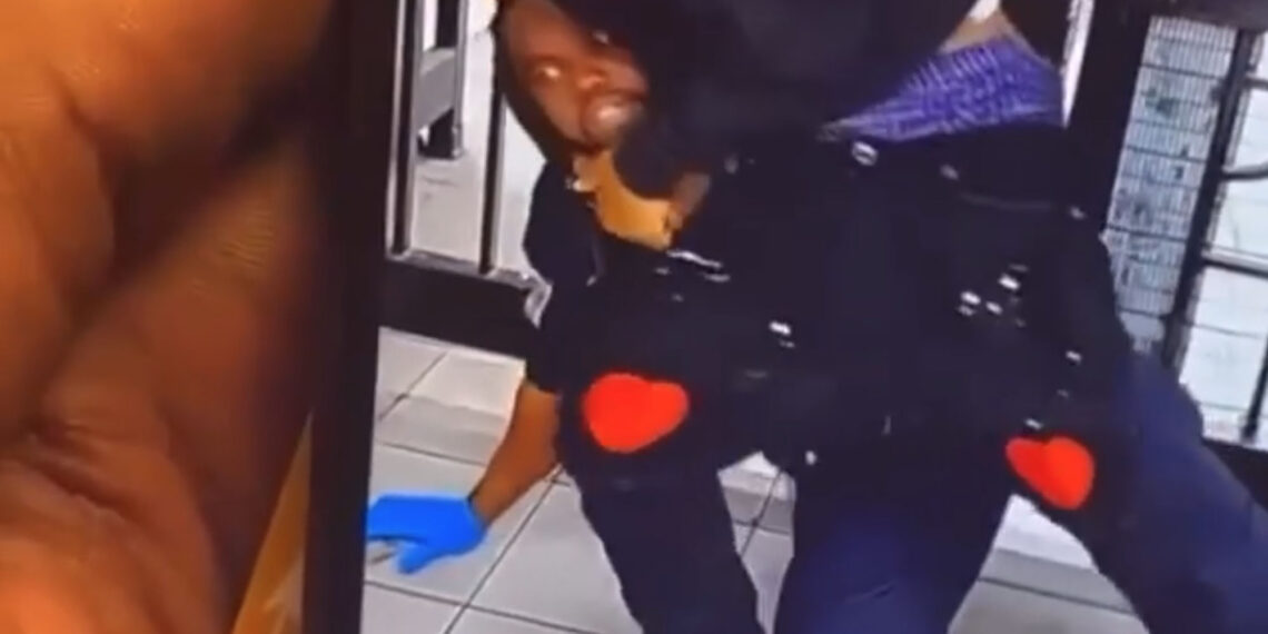 Watch teen punch, wrestle NYPD cop – released in 24 hours – Law Officer