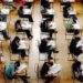 bar-exam-300×182