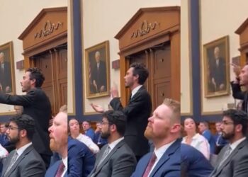 David Hogg Disrupts House Hearing on Guns – Blames GOP Lawmakers for 'Reiterating Points of Mass Shooters' (Video)