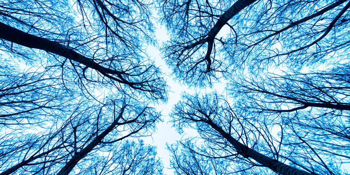 Recent employment law developments (England & Wales)