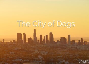 Dog bite liability in Los Angeles