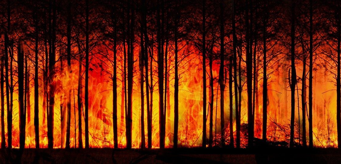 Oregon residents apprehend arson suspect – tie him to tree until police arrive – Law Officer