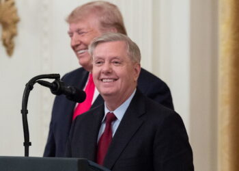 Georgia DA Says 'Possible' Trump Could Be Subpoenaed, Lindsey Graham 'Doesn’t Understand Seriousness' of Investigation