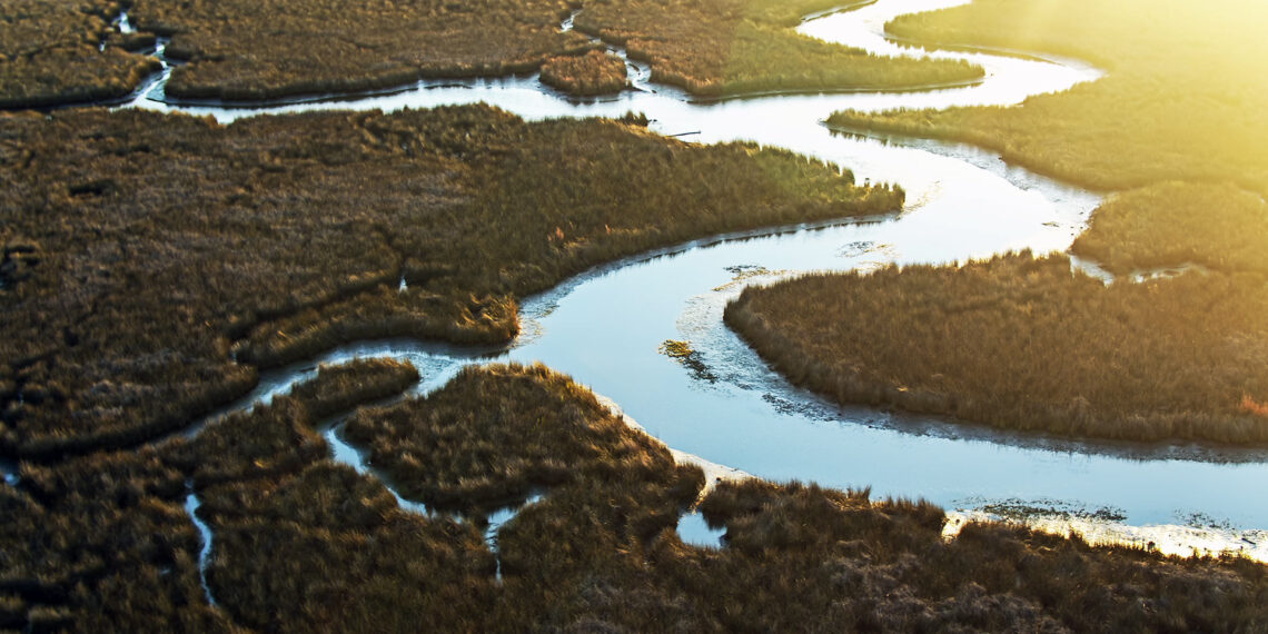 Mississippi teenager rescues three people and a police officer from drowning in river