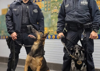 NYPD deploys K-9s with innovative electronic harness to prevent terrorist attacks
