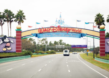 Deputies break up chaotic Disney World brawl between two families