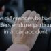 Women Are More Likely Than Men To Be Severely Injured in a Car Accident