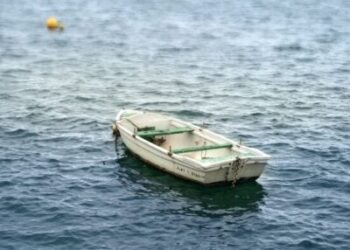 When a Day at the Lake Goes Wrong