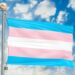 Transgender flag waving in blue cloudy sky, 3D rendering