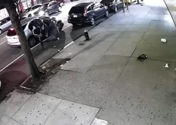 Another off-duty NYPD officer mugged days before cop was beaten unconscious