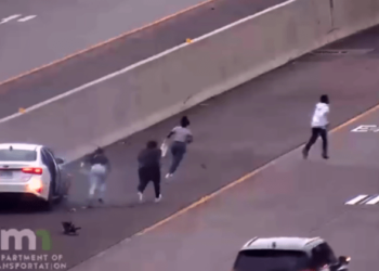 Teens crash stolen vehicle, flee police on highway – Law Officer