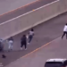 Teens crash stolen vehicle, flee police on highway – Law Officer