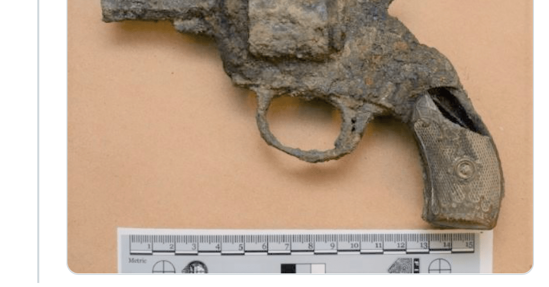 Toronto police mocked online for bragging about seizing ‘rusted’ gun – Law Officer