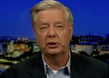Former Federal Prosecutor Blasts Lindsey Graham's 'Organized Crime Types' Threat