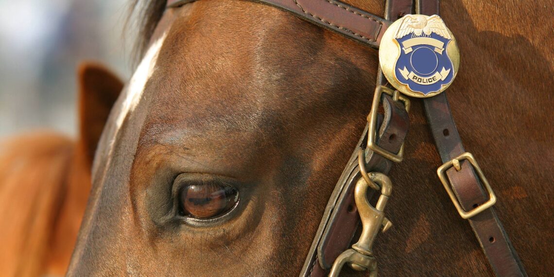 Pennsylvania Department swears in four-legged officer