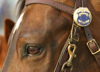 Pennsylvania Department swears in four-legged officer