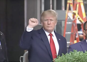 'Case Against Trump Became Immeasurably Stronger' After He Says He Pleaded the Fifth