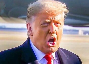 Federal Appeals Court Rules House Can Have Trump's Tax Returns – Committee Expects Them 'Immediately'