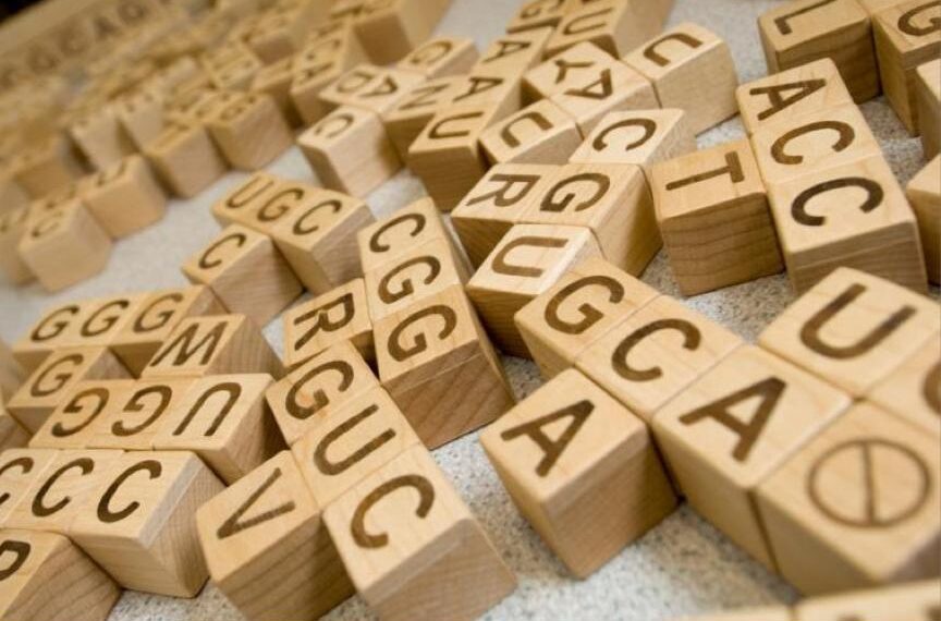 Prime Medicine spells out IPO plans for ‘word processor’ of gene editing