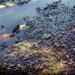 Image of an oil spill in Nigeria
