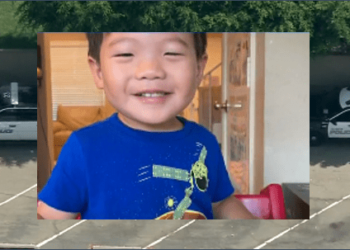 Two-year-old boy abducted when minivan stolen, later found unharmed – Law Officer