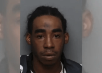 Police looking for man accused of murdering girlfriend, fleeing in her car – Law Officer
