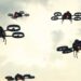Minneapolis Police Department moves forward with drone program despite controversy