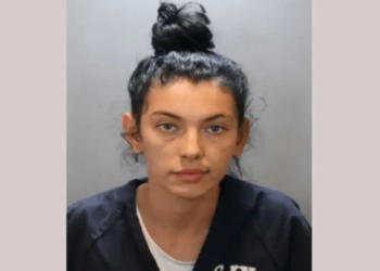 California woman charged with murder for mowing down man with car after argument about cat – Law Officer