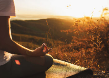 Integrative treatment for PTSD - American Police Beat Magazine