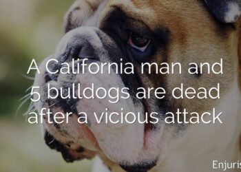 Enjuris.com: California man mauled by dogs