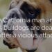 Enjuris.com: California man mauled by dogs