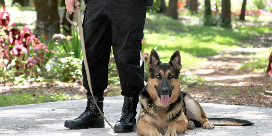 South Carolina police K-9 tracks down missing elderly woman with dementia