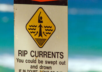 Off-duty New Jersey transit officer rescues friends from drowning in rip current