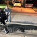 “See you later, alligator”: Texas deputies catch 12-foot alligator wandering through residential neighborhood
