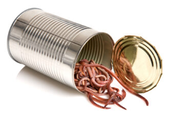 Judge shuts down LGBT guidance: Employment & Labor Insider