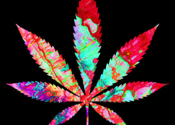 Is Biden about to make marijuana legal?: Employment & Labor Insider