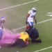 Los Angeles Rams players help security personnel nail activist running on field – Law Officer