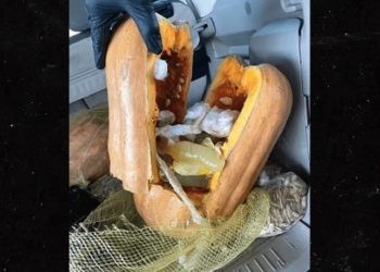 Border Patrol agents discover 44 lbs. of liquid meth stashed in condoms inside pumpkins – Law Officer