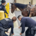 Horseback rider arrested for DUI after brief pursuit – Law Officer