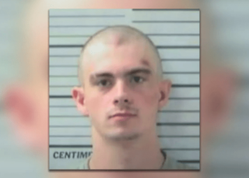 Alabama man charged with rape, robbery, sexual torture of college student – Law Officer