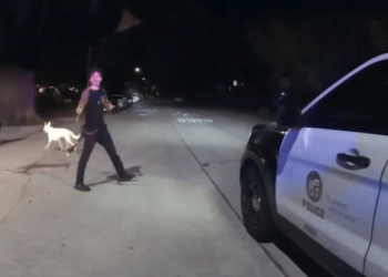 Bodycam video shows LAPD tase, arrest samurai sword-wielding man accused of slashing mother – Law Officer